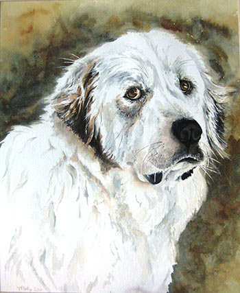 Molly Blankenship